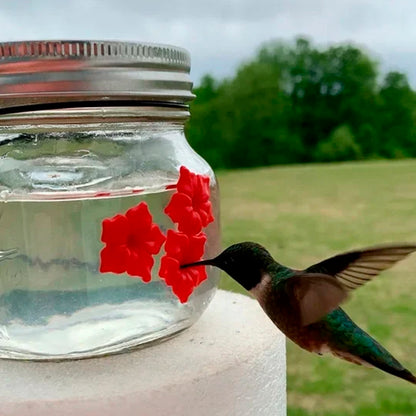 Beautiful jar hummingbird feeder with three ports