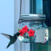 Beautiful jar hummingbird feeder with three ports