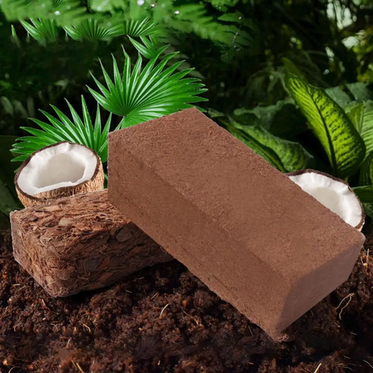 Organic Coconut Fiber for Plants