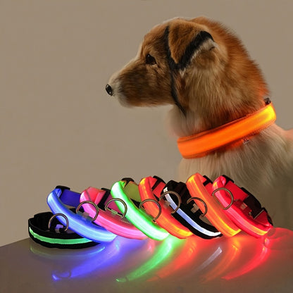 Glow in the dark pet safety collar ✨