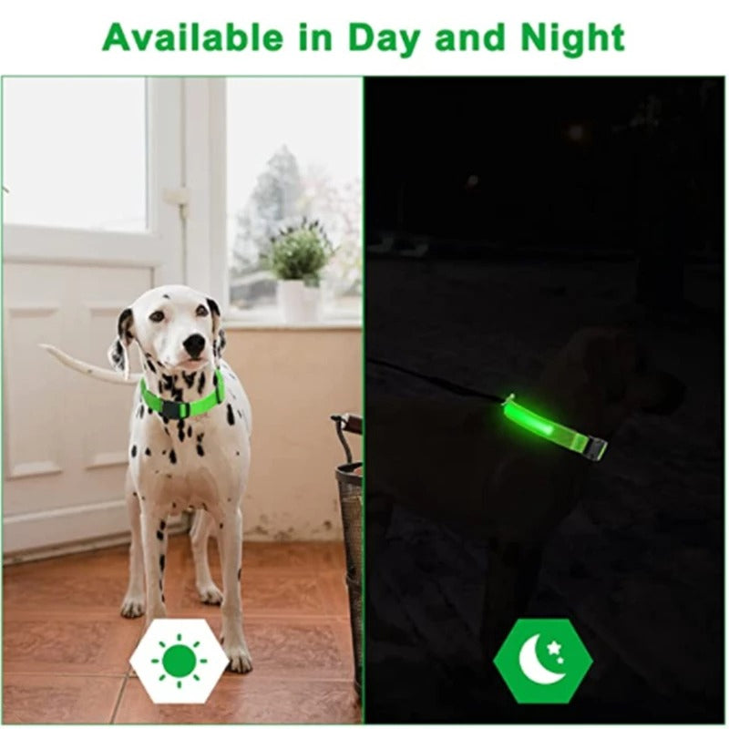 Glow in the dark pet safety collar ✨