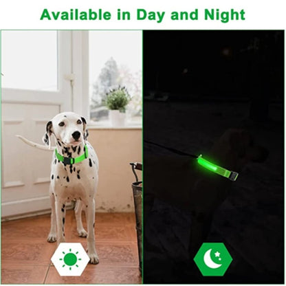 Glow in the dark pet safety collar ✨