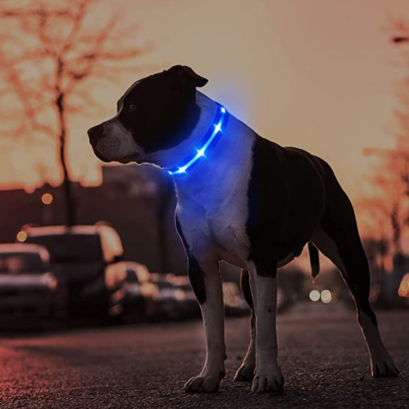 Glow in the dark pet safety collar ✨