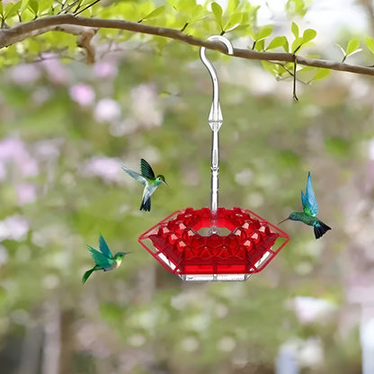 Mary's Perch Hummingbird Feeder