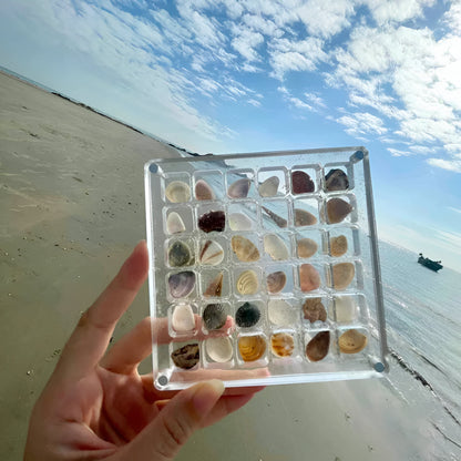 Acrylic Magnetic Seashell Display Box