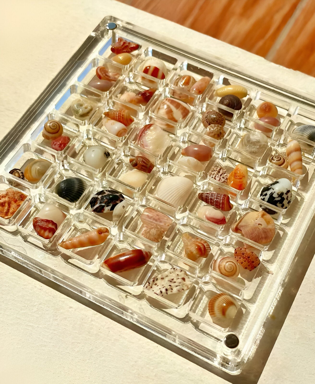 Acrylic Magnetic Seashell Display Box