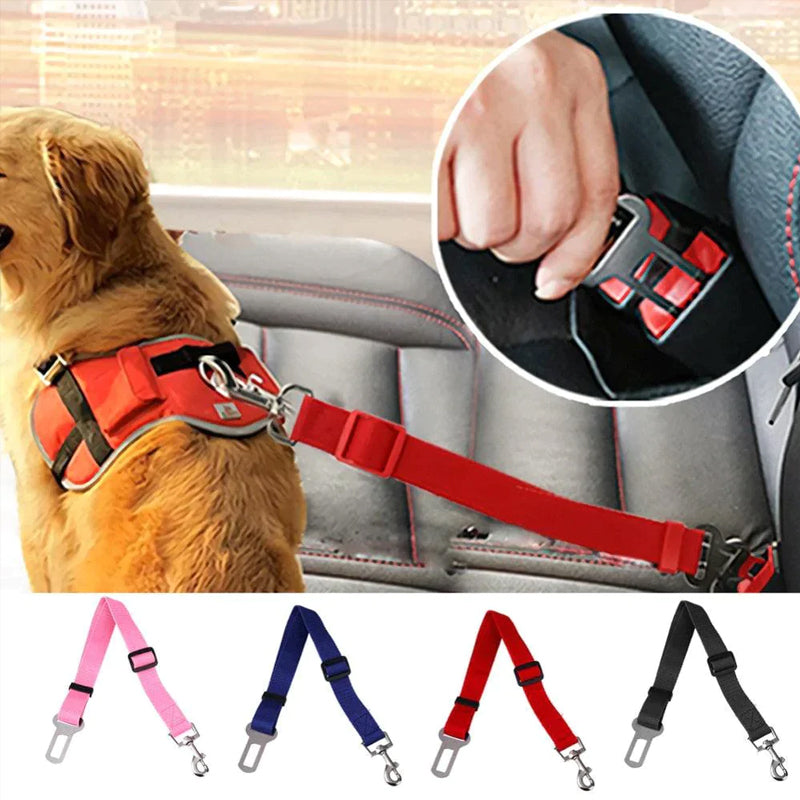 Seat belt for dogs