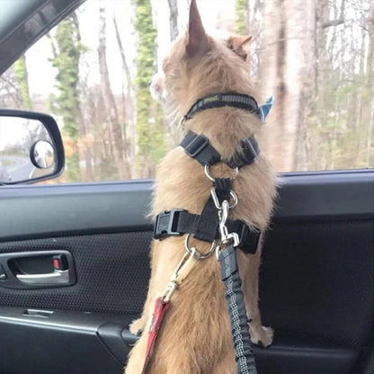 Seat belt for dogs