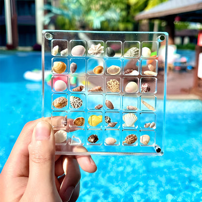 Acrylic Magnetic Seashell Display Box