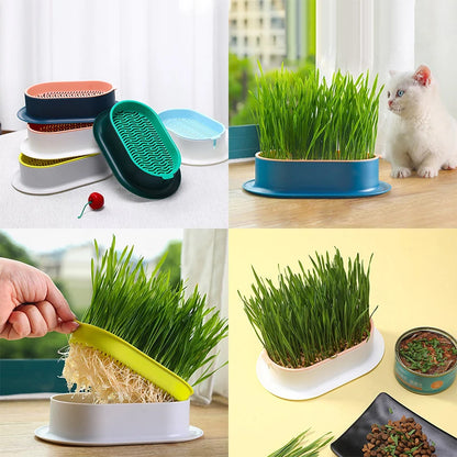 Cat Grass Box, Practical Seed Germination Tray