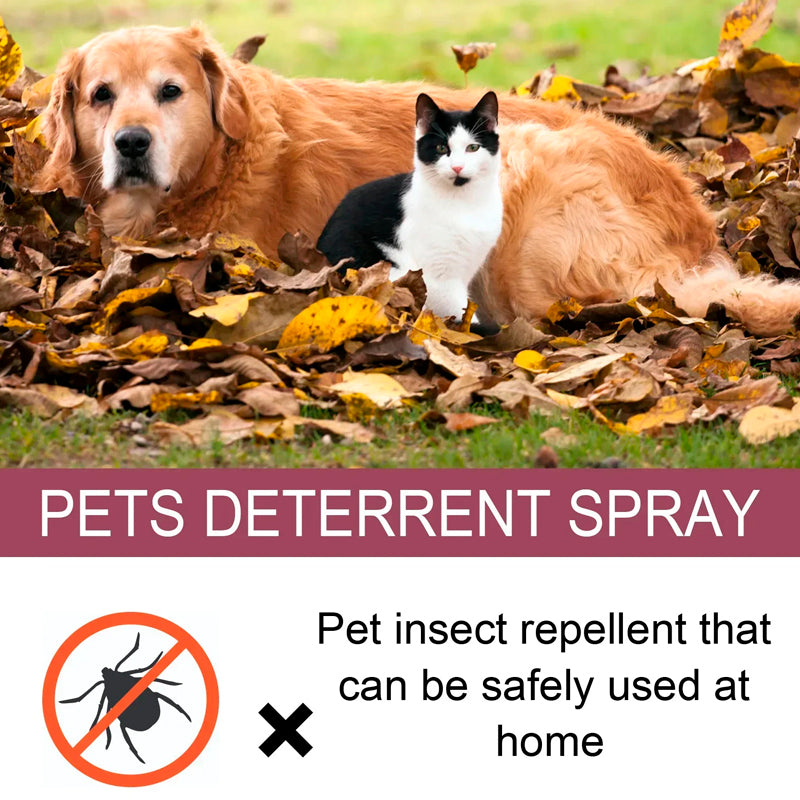 Instant equine fly repellent