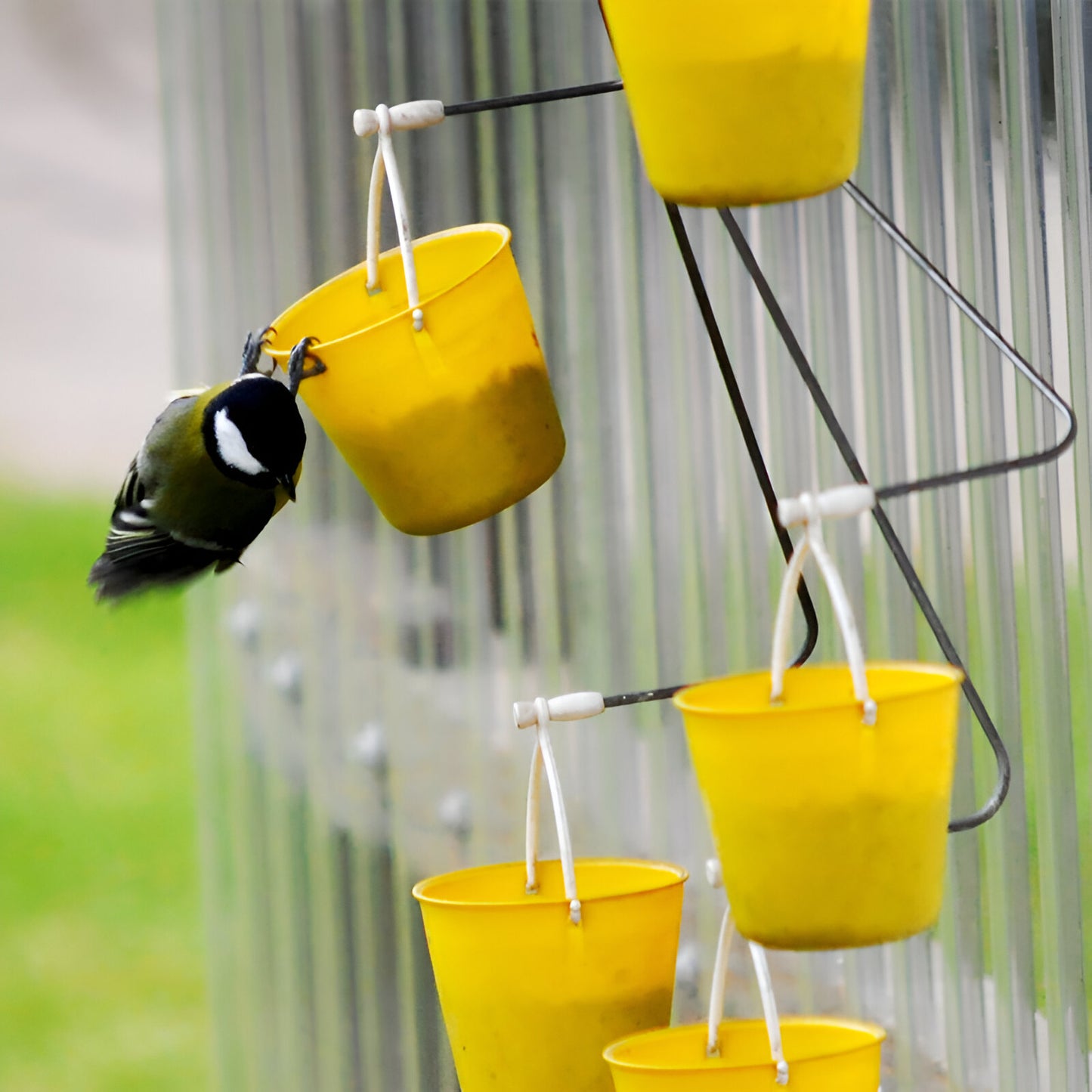 Ferris wheel bird feeder 🐦Make your garden more interesting