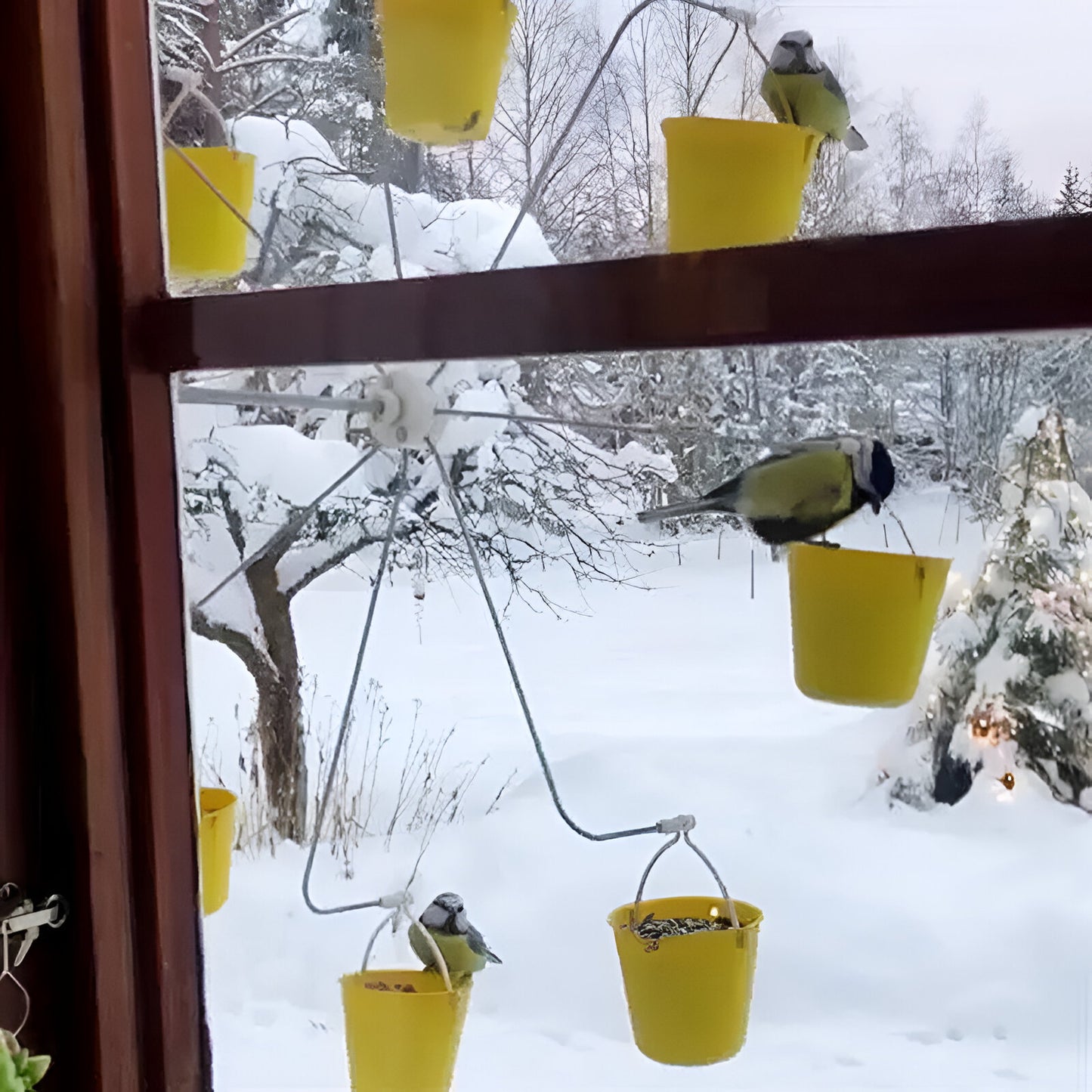 Ferris wheel bird feeder 🐦Make your garden more interesting