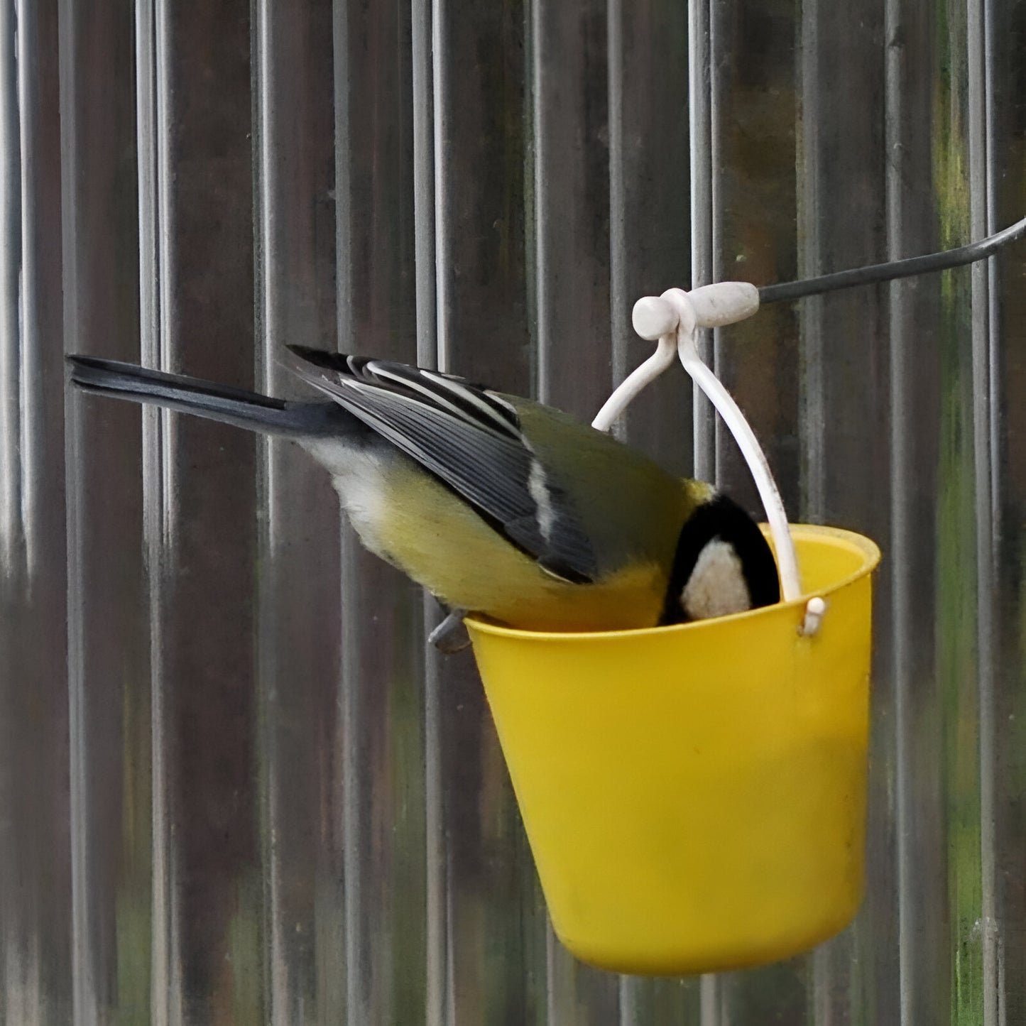 Ferris wheel bird feeder 🐦Make your garden more interesting