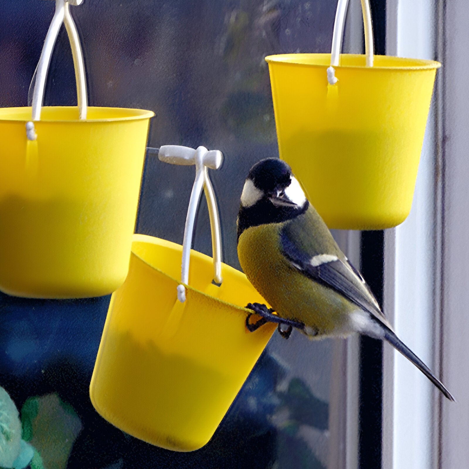 Ferris wheel bird feeder 🐦Make your garden more interesting