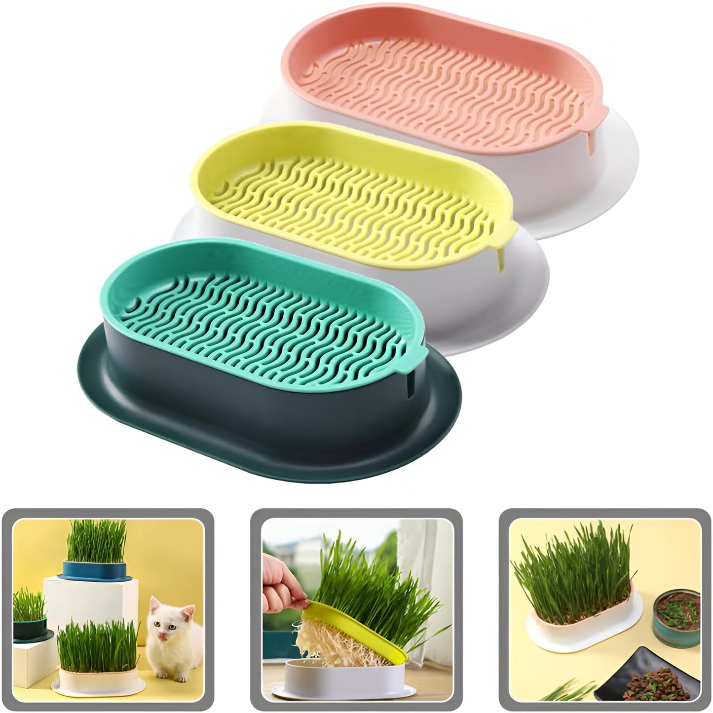 Cat Grass Box, Practical Seed Germination Tray