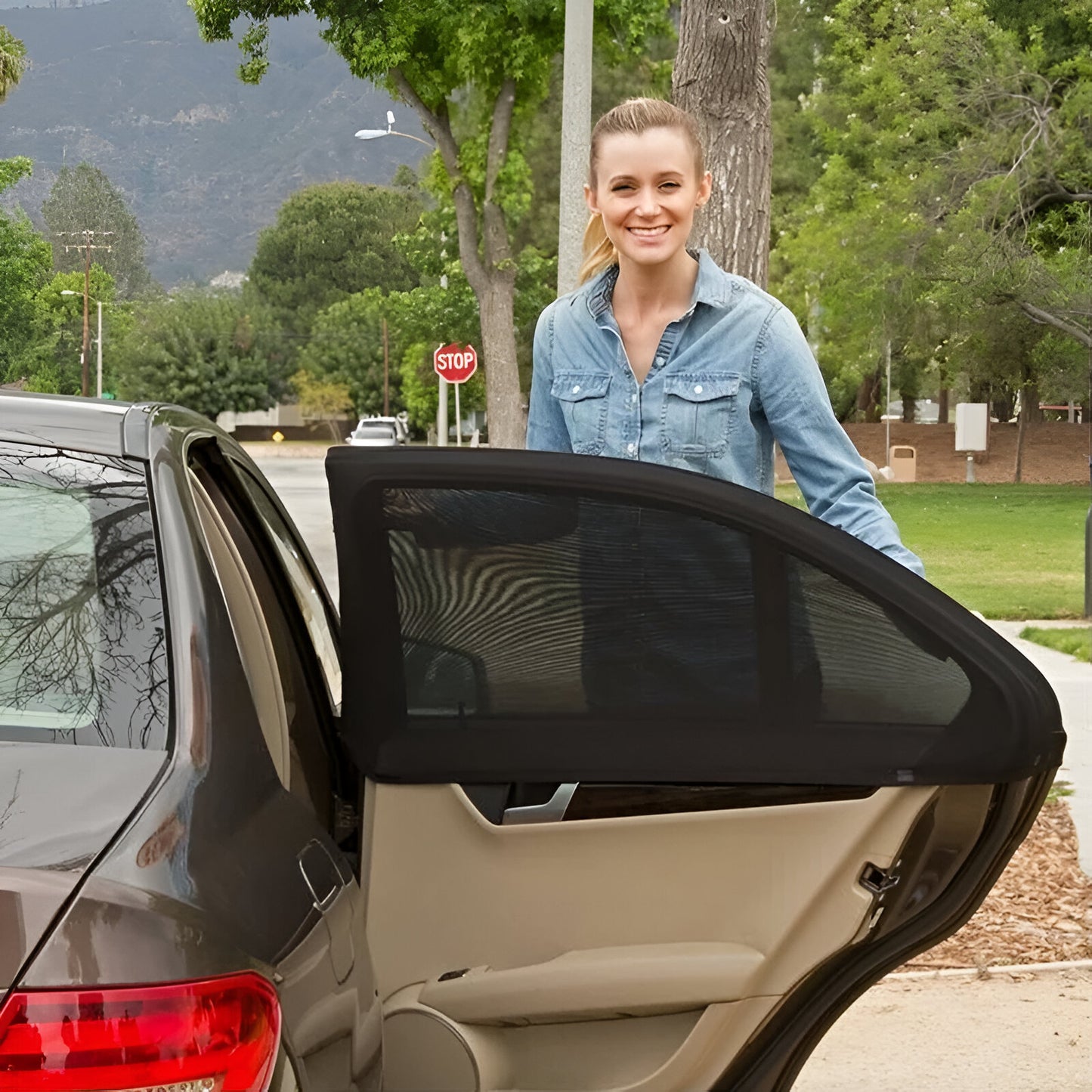 Universal Car Window Screens