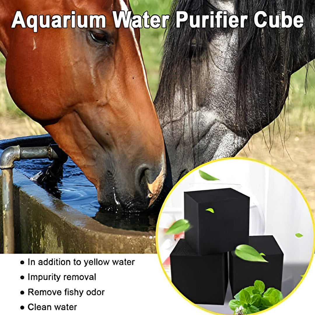 Pond water purifier cube