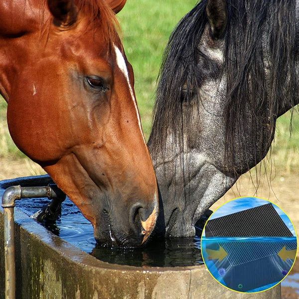 🎉[Special Offer] Get 2 Water Purifying Cube for the price of 1🎉