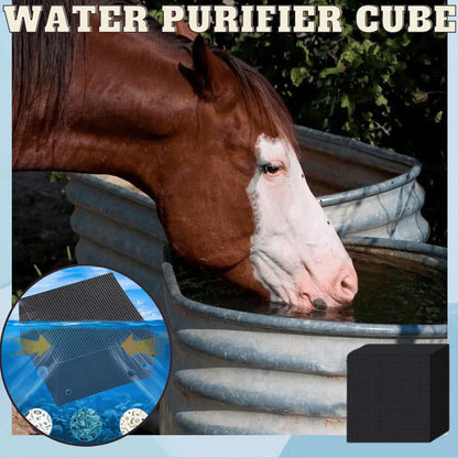 Pond water purifier cube