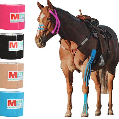 Kinesiology Tape for Horses 🐴❤️