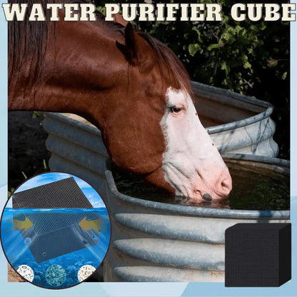 🎉[Special Offer] Get 2 Water Purifying Cube for the price of 1🎉