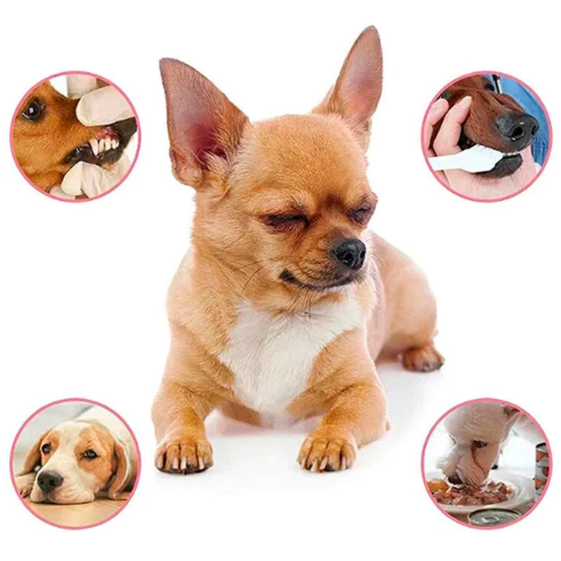🎉[Special Offer] Get 2 Pet Teeth Cleaning Spray, for the price of 1🎉