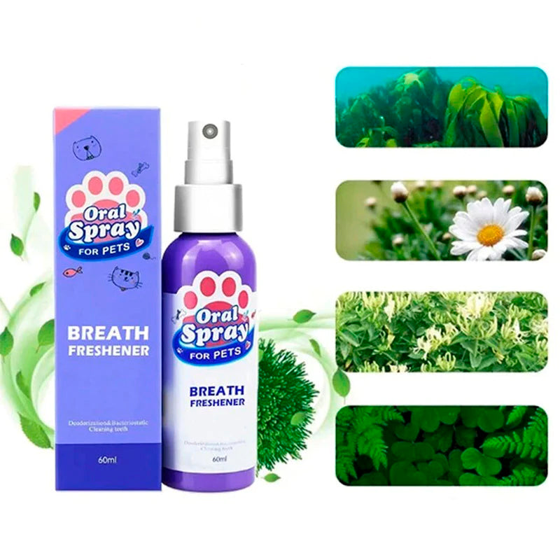 🎉[Special Offer] Get 2 Pet Teeth Cleaning Spray, for the price of 1🎉